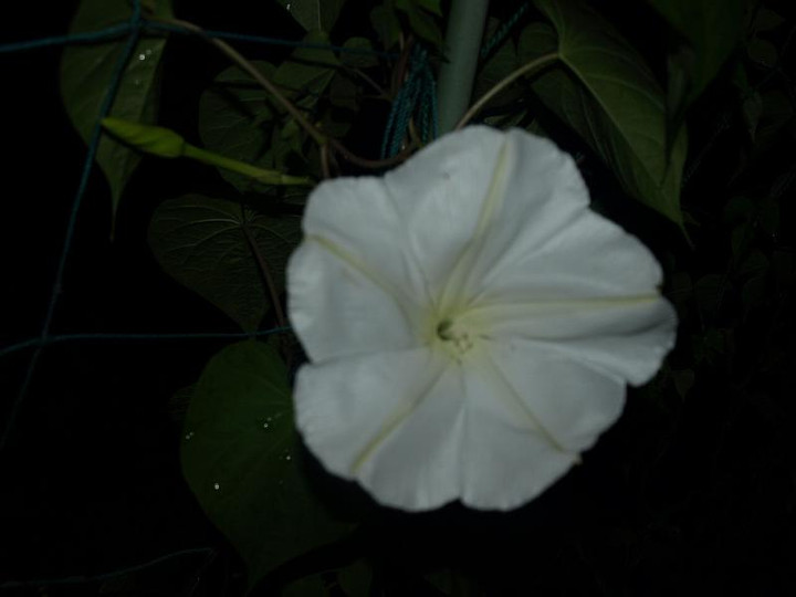 P8080137