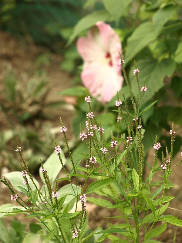 P8110402