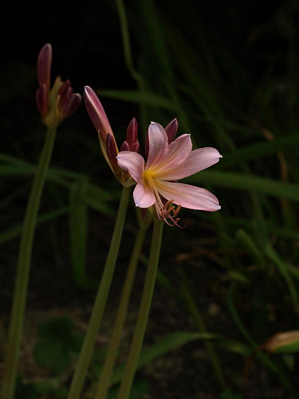 P8120493