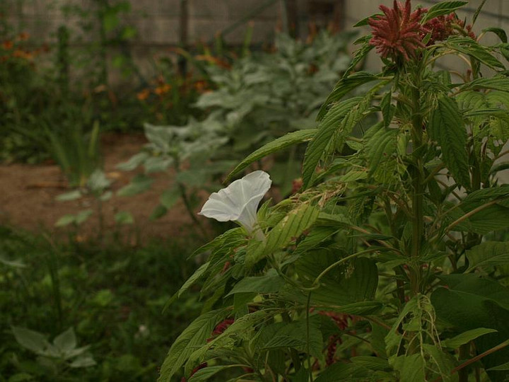 P8120513