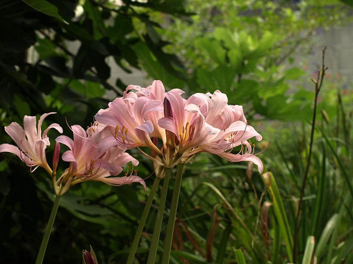 P8140760