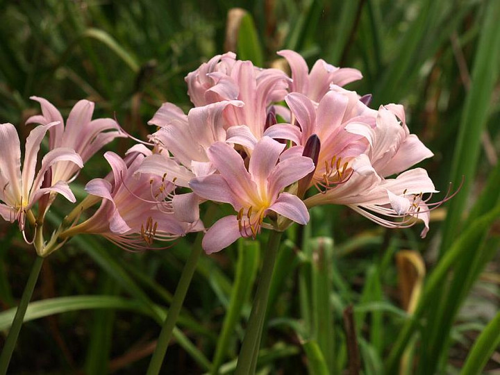 P8140797