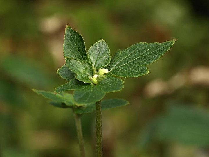 P9014001