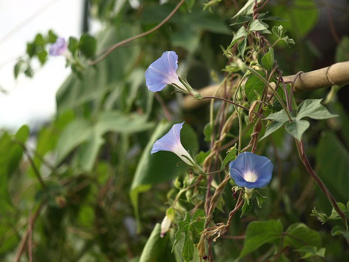 P9014032