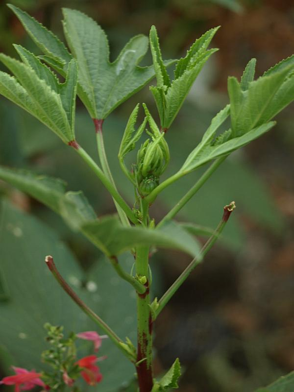 P9054359