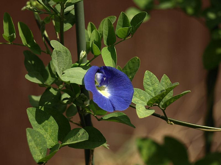 P9207586