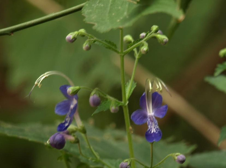 P9207609