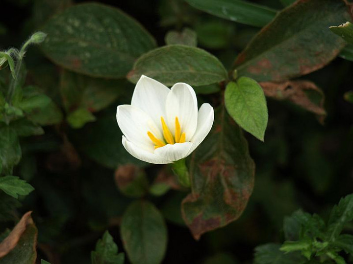 P9217681