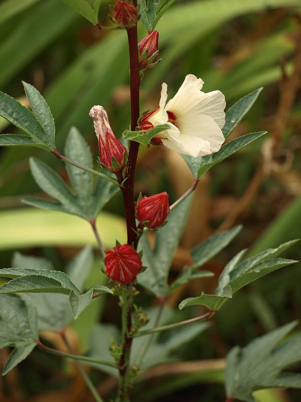P9227841