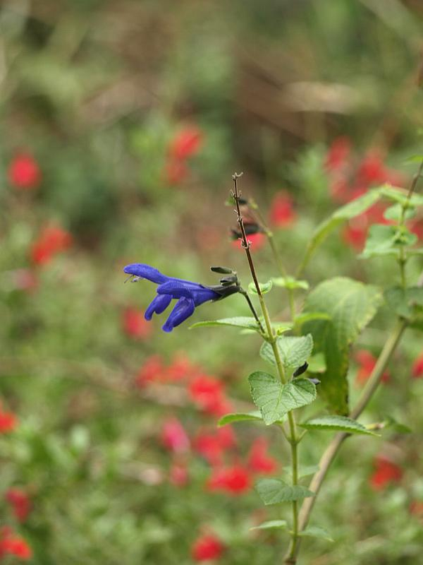P9279031