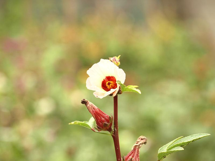 P9279039