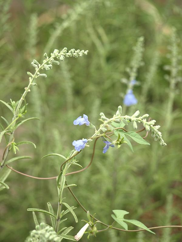 P9279055