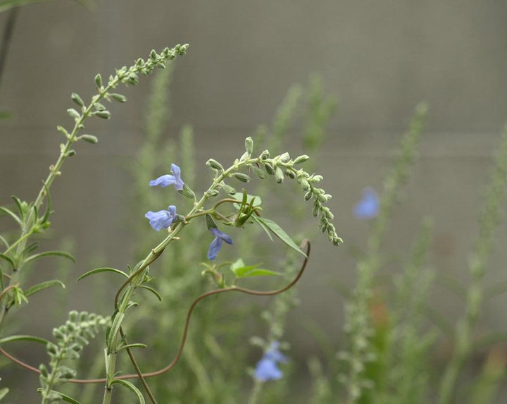 P9279058