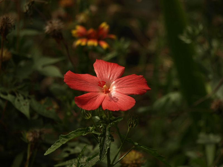 P9299341