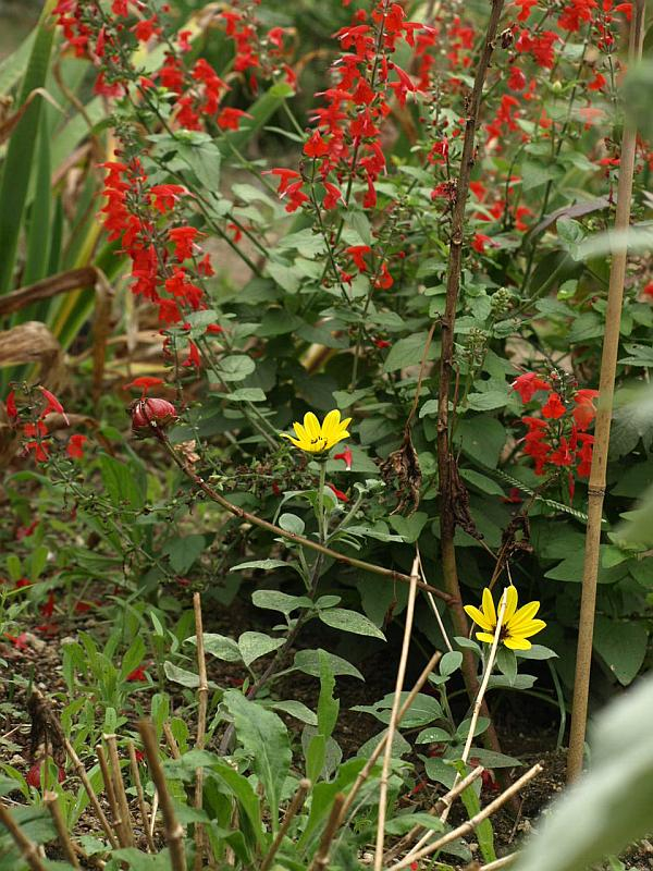 Pa205210