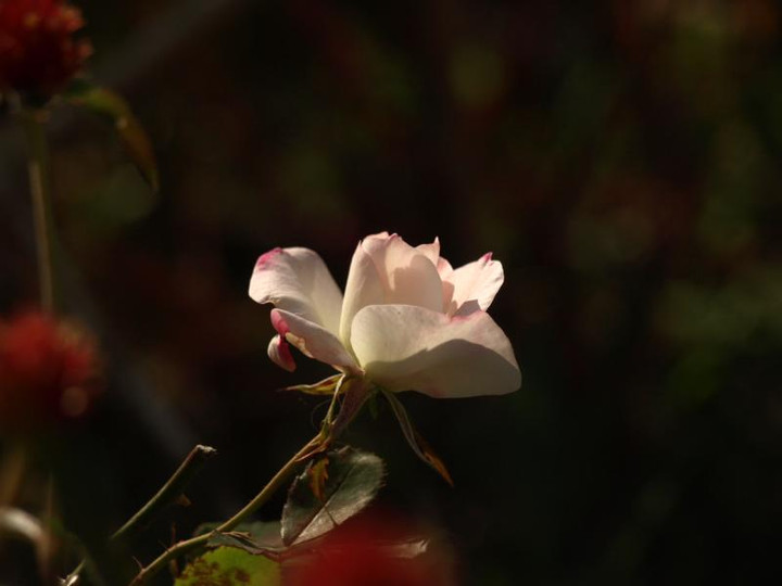 Pc013320