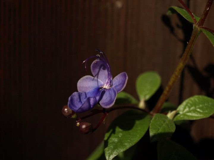 Pc023480