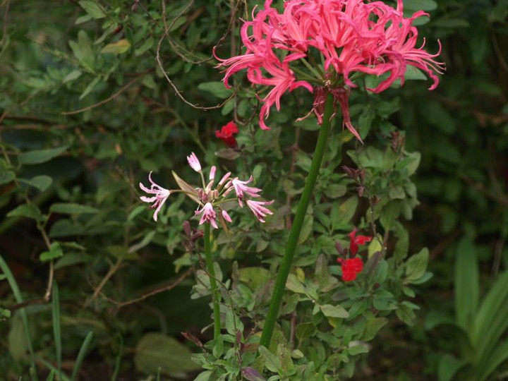 Pc033537