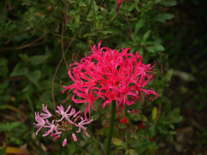 Pc074293