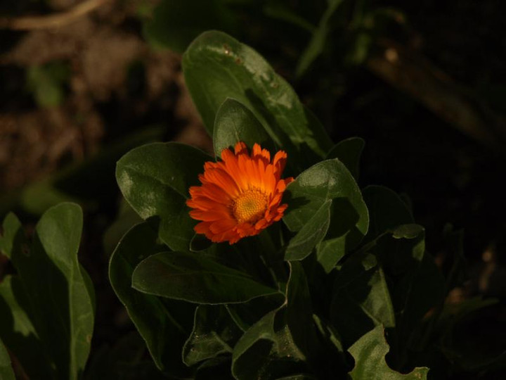 Pc084344