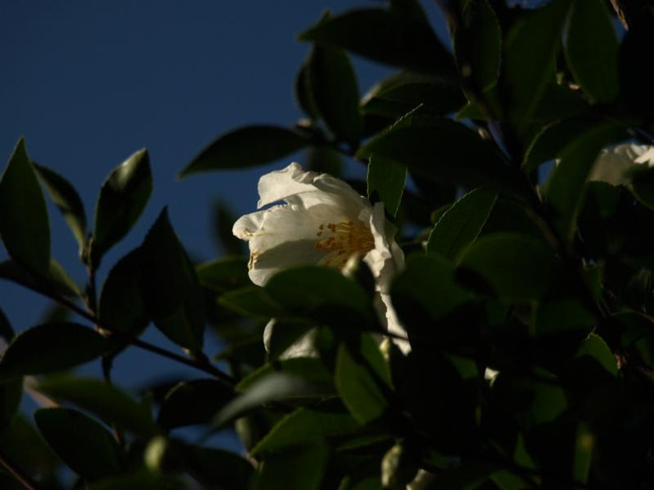 Pc084369