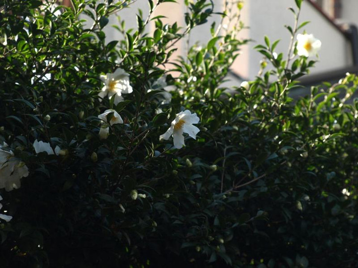 Pc104771