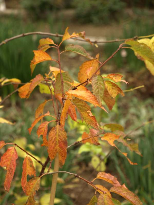 Pc165779