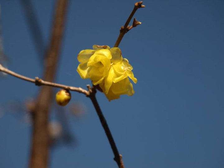 P1026938