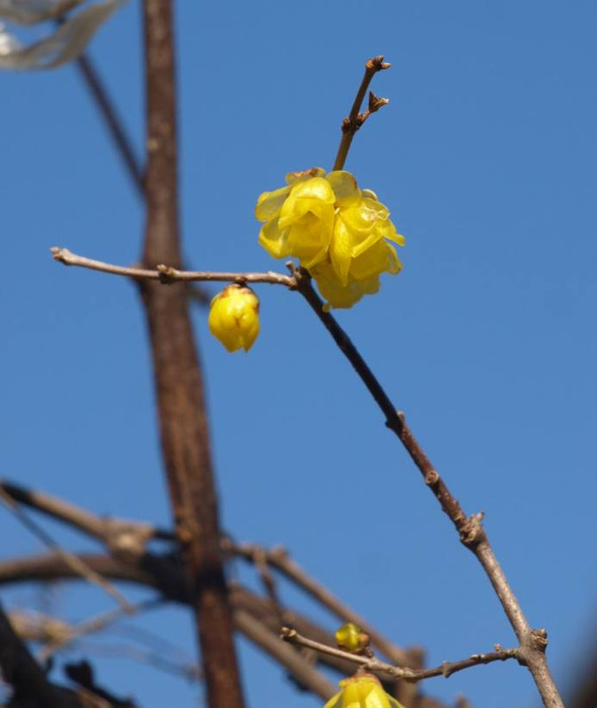 P1067827