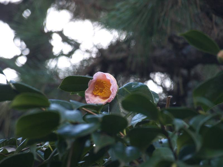 P1259843