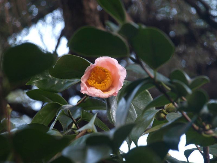 P1259844