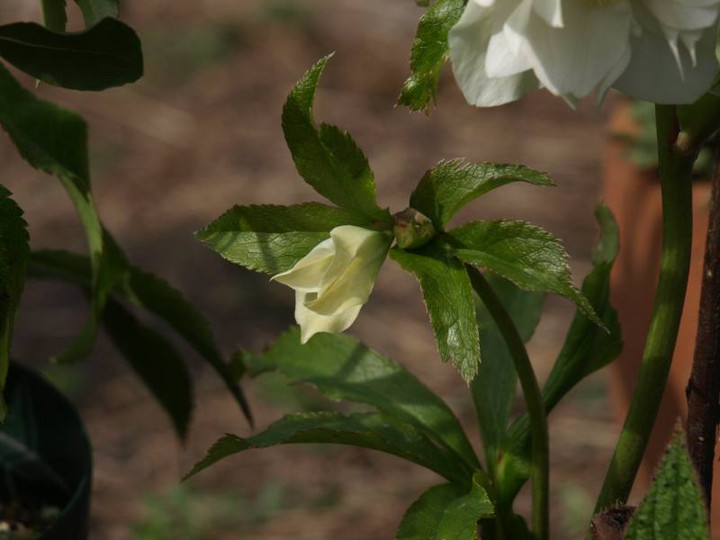 P2234040