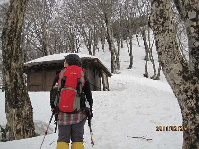 Img_3844koyato_watasi