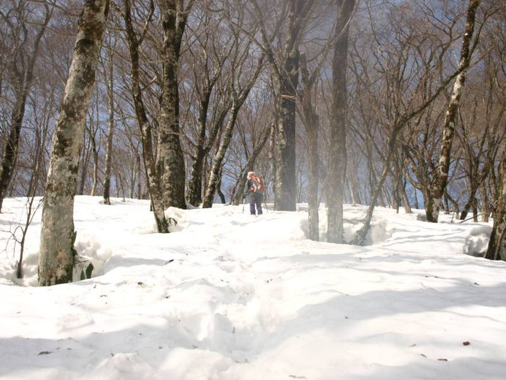 P2254232aozorato_tutuisann