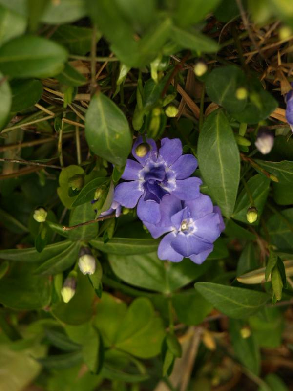 P3178330
