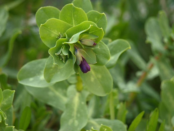 P3239728