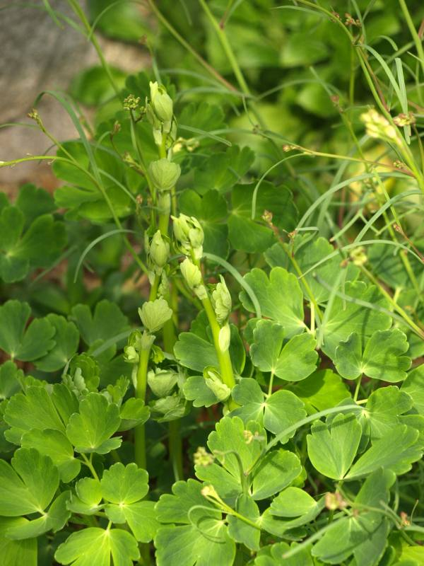 P3249826