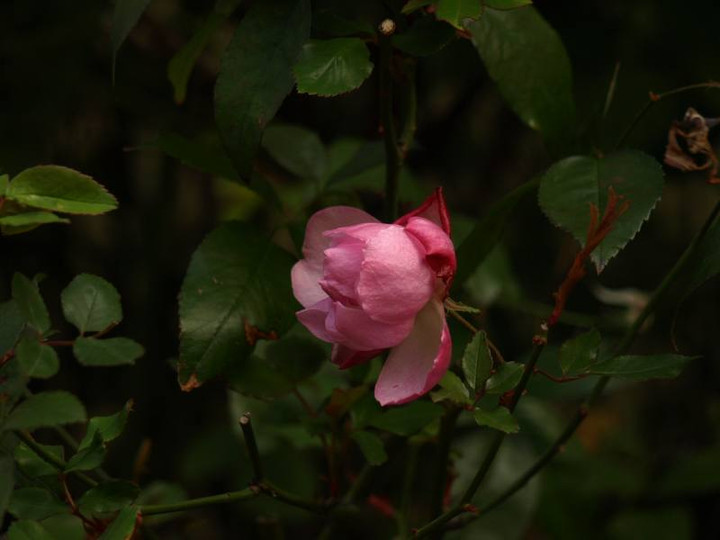 P3269947