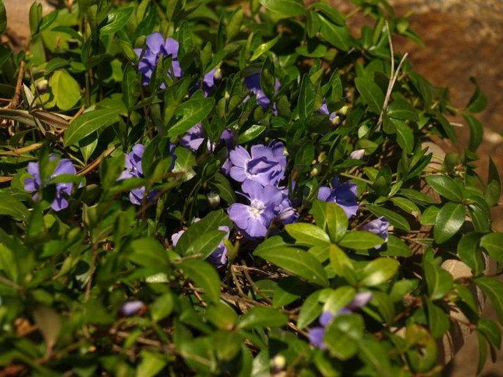 P3290999