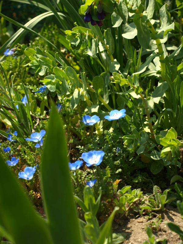 P3301313