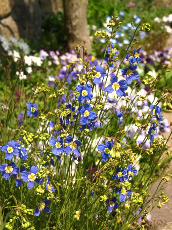 P3301354