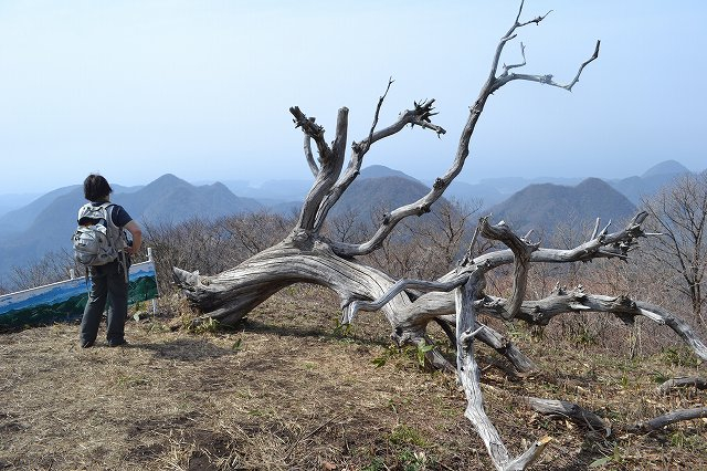 Dsc_0279sanntyounowatasi