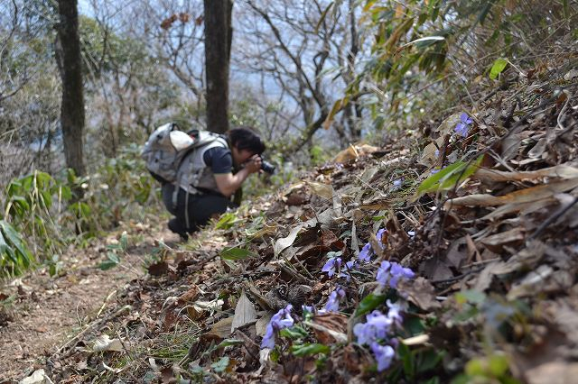 Dsc_0289satueisuruwatasi