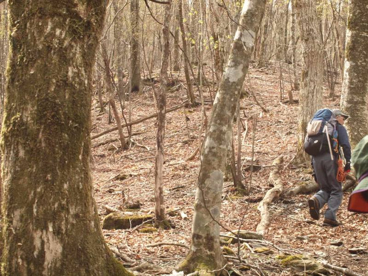 P5067045yamakatuosann