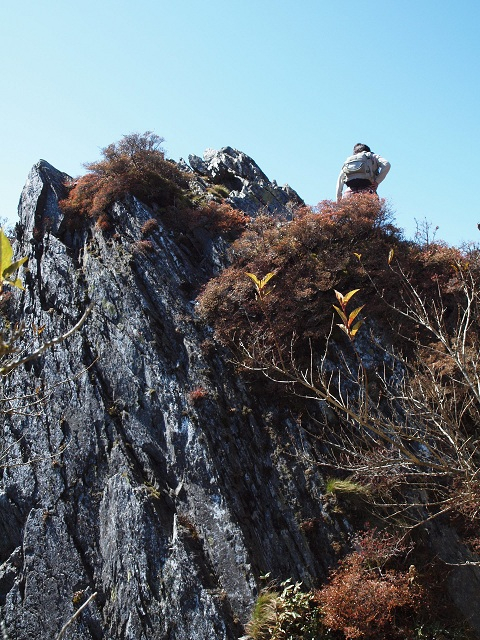 F0fa5620974abfa2ac56f54b74bad955