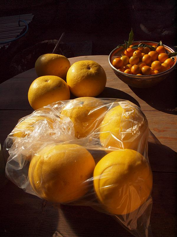 P1171225