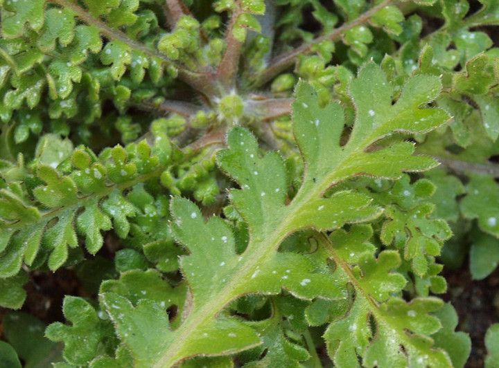 P1171236