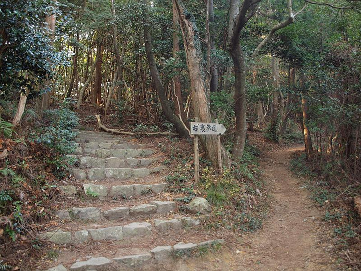 P1181315urasanndoutonobunnki