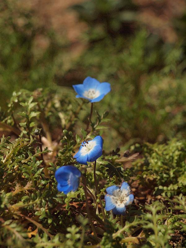 P3134228