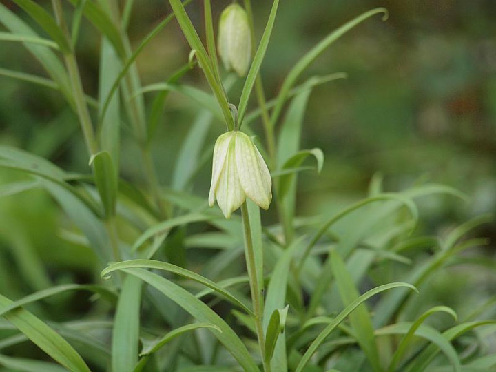 P3214826